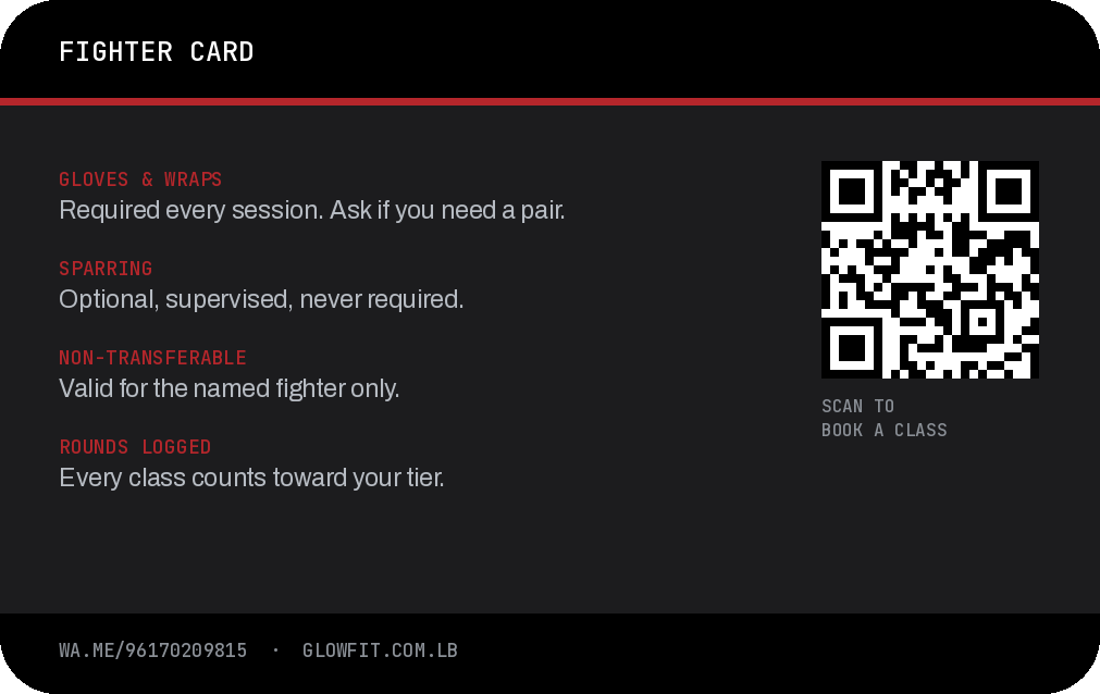 The Combat Lab fighter card, back