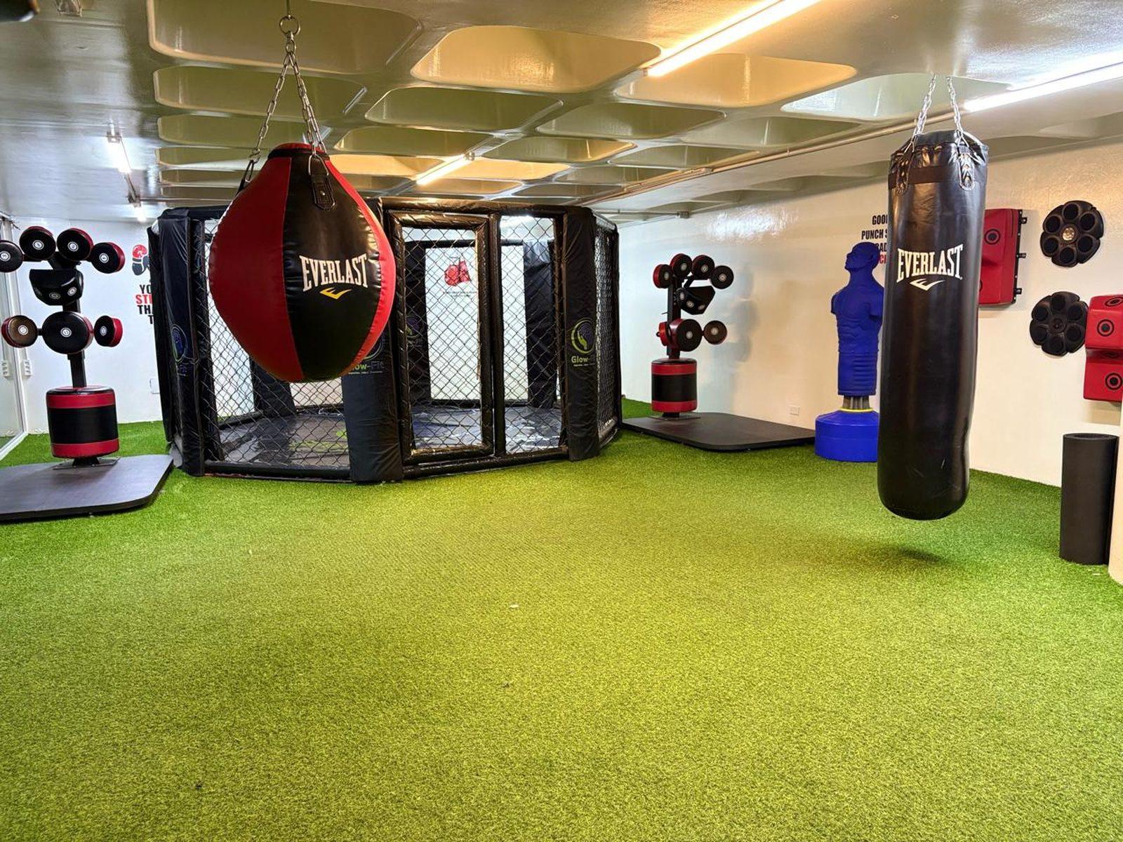 The Combat Lab cage, heavy bags and reflex targets